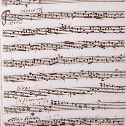 A 65, G.J. Werner, Missa solitudinis, Violone-3.jpg