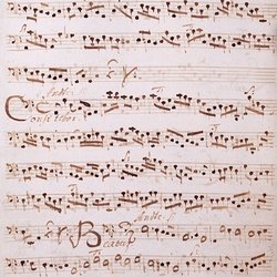 G 79, G.J. Werner, Vesperae de B.M.V., Violone-1.jpg