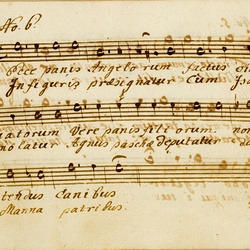 F 24, Anonymus, Lauda Sion salvatorem, Tenore-16.jpg