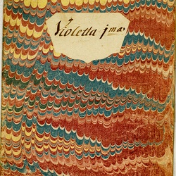 F 32, G.J. Werner, O salutaris hostia, Violino I-5.jpg