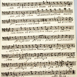 B 150, M. Haydn, Bonum est confidere in domino, Basso-2.jpg