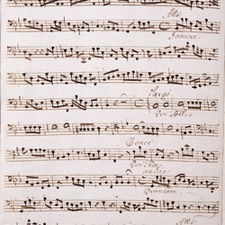 A 75, G.J. Werner, Missa Hic labor hoc opus est, Violone-2.jpg