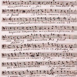 G 88, G.J. Werner, Psalm, Tenore-1.jpg