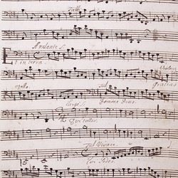 A 64, G.J. Werner, Missa Piae fiduciae, Violone-1.jpg