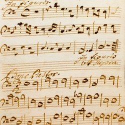 M 12, G.J. Werner, Fuctus cibus viatorum, Violone-1.jpg