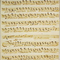 B 13, Ch. Sonnleithner, Exultate iubilate, Basso-1.jpg
