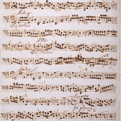 A 81, G.J. Werner, Missa festivalis in honorem divi peregrini, Violone-2.jpg