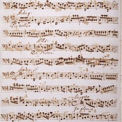 A 81, G.J. Werner, Missa festivalis in honorem divi peregrini, Violone-2.jpg