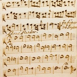 M 12, G.J. Werner, Fuctus cibus viatorum, Viola I-1.jpg