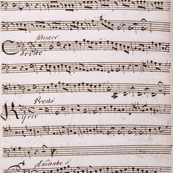A 65, G.J. Werner, Missa solitudinis, Violone-1.jpg