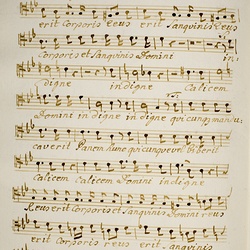 B 110, M. Haydn, Quicumque manducaverit, Tenore-2.jpg
