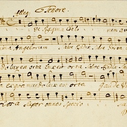 I 6, G.J. Werner, Ave regina coelorum, Tenore-1.jpg