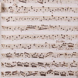 A 54, G.J. Werner, Missa vicit Leo de tribu Juda, Violone-6.jpg