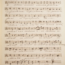 D 24, M. Haydn, Requiem, Basso-3.jpg