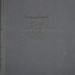 F 36, G. Steffek, Benedictam dominum, Violino I-1.jpg