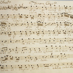 B 92, J.M. Spangler, Ave gentrix beata arca, Tenore conc.-1.jpg