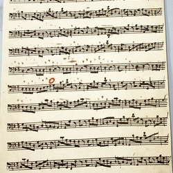B 153, M. Haydn, Dirigatur oratio mea, Violone-1.jpg