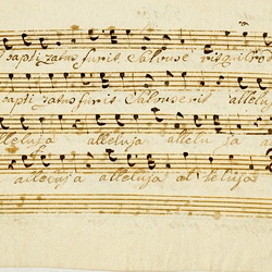 F 25, M. Haydn, Hodie completi sunt dies, Basso-2.jpg