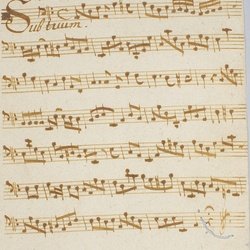 L 2, G.J. Werner, Sub tuum praesidium, Violone-1.jpg