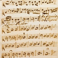 M 12, G.J. Werner, Fuctus cibus viatorum, Viola II-1.jpg